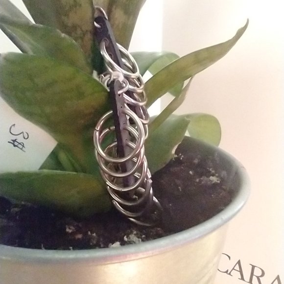 Earrings - Picture 3 of 3